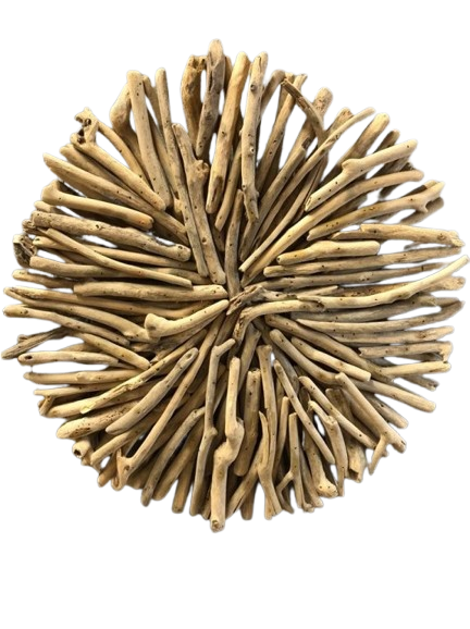 4508-10-removebg-preview